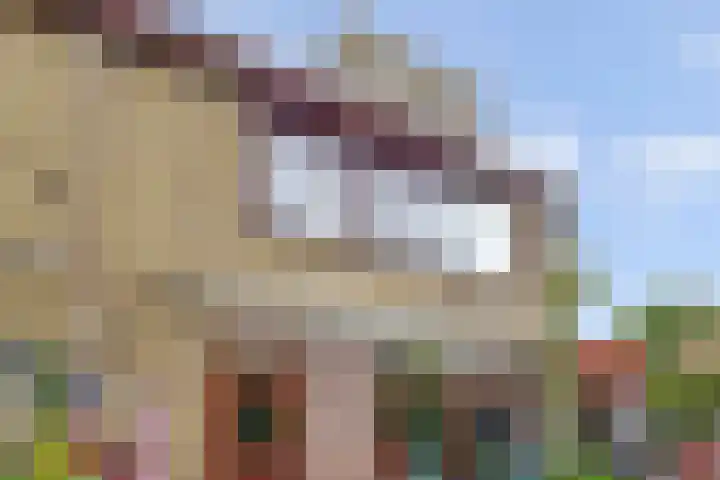 Molenlaan 40 Honselersdijk thumbnail 24
