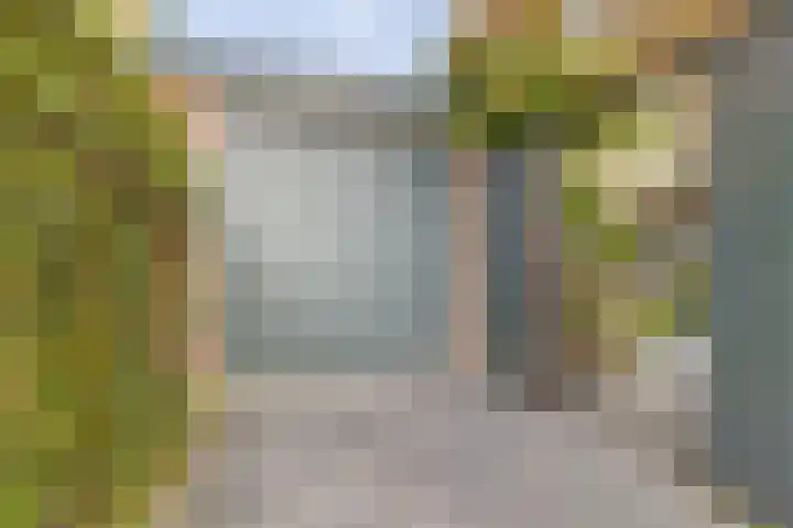 Molenlaan 40 Honselersdijk thumbnail 26