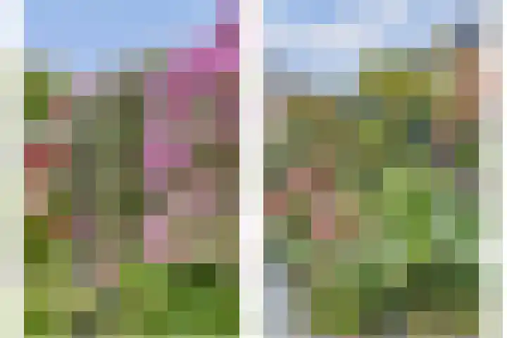 Molenlaan 40 Honselersdijk thumbnail 27