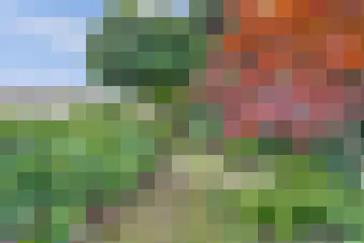 Molenlaan 40 Honselersdijk thumbnail 28