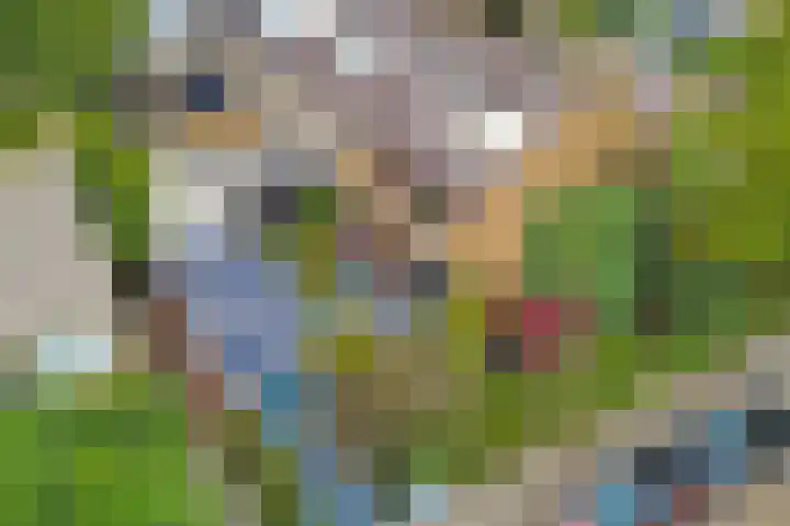 Molenlaan 40 Honselersdijk thumbnail 29