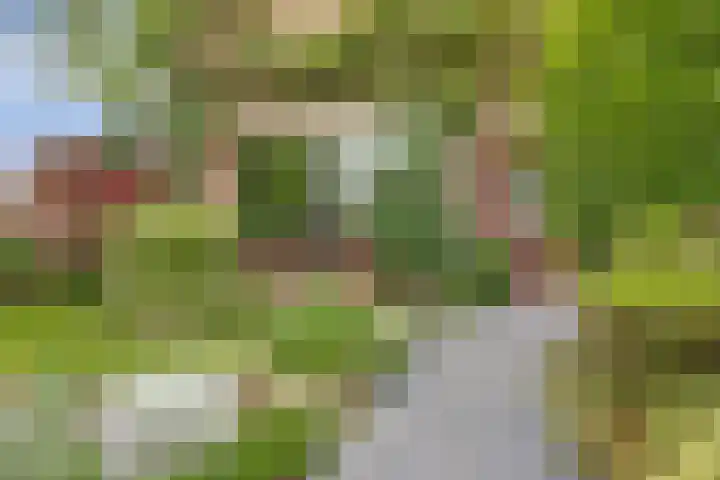 Molenlaan 40 Honselersdijk thumbnail 30