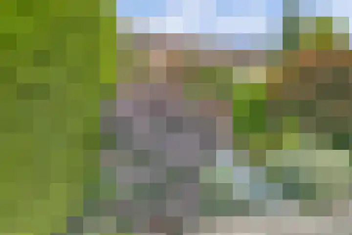 Molenlaan 40 Honselersdijk thumbnail 31