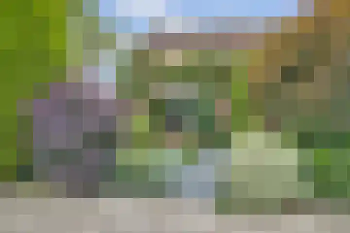 Molenlaan 40 Honselersdijk thumbnail 32