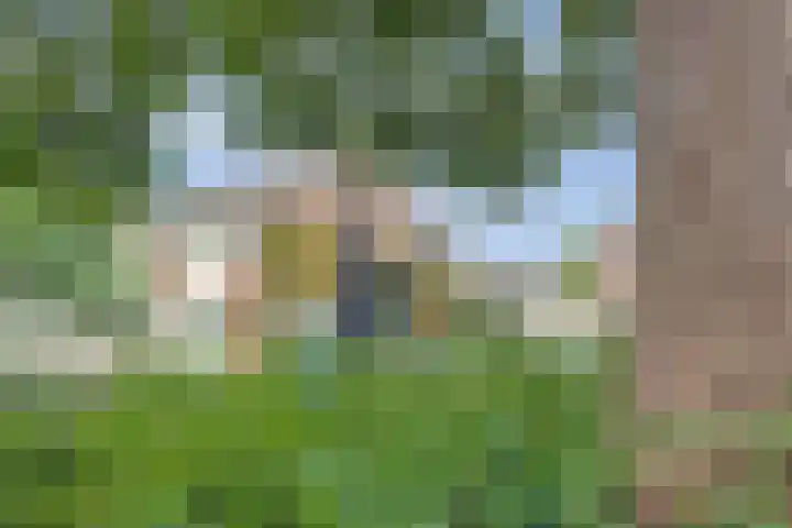 Molenlaan 40 Honselersdijk thumbnail 33