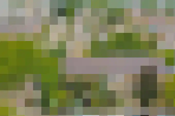 Molenlaan 40 Honselersdijk thumbnail 34