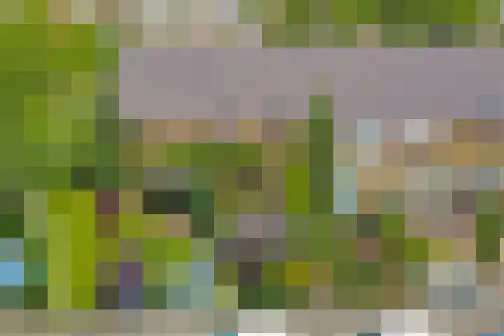 Molenlaan 40 Honselersdijk thumbnail 35