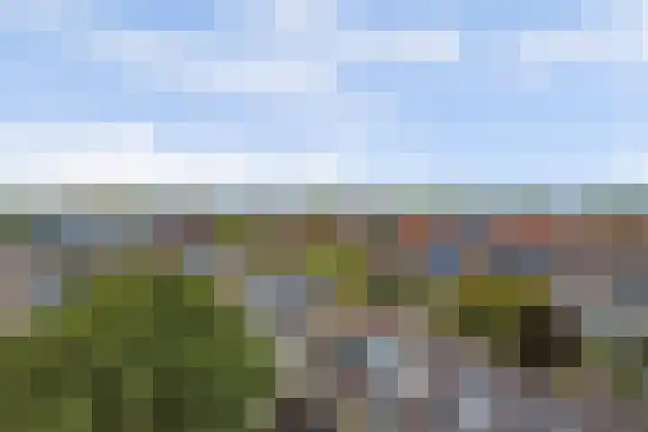 Molenlaan 40 Honselersdijk thumbnail 36
