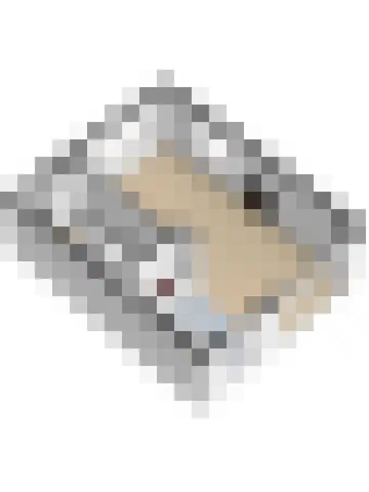 Molenlaan 40 Honselersdijk thumbnail 38