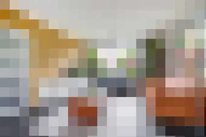 Molenlaan 40 Honselersdijk thumbnail 4