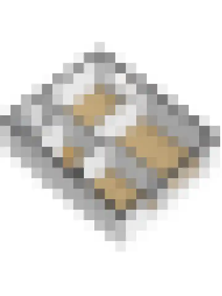 Molenlaan 40 Honselersdijk thumbnail 40