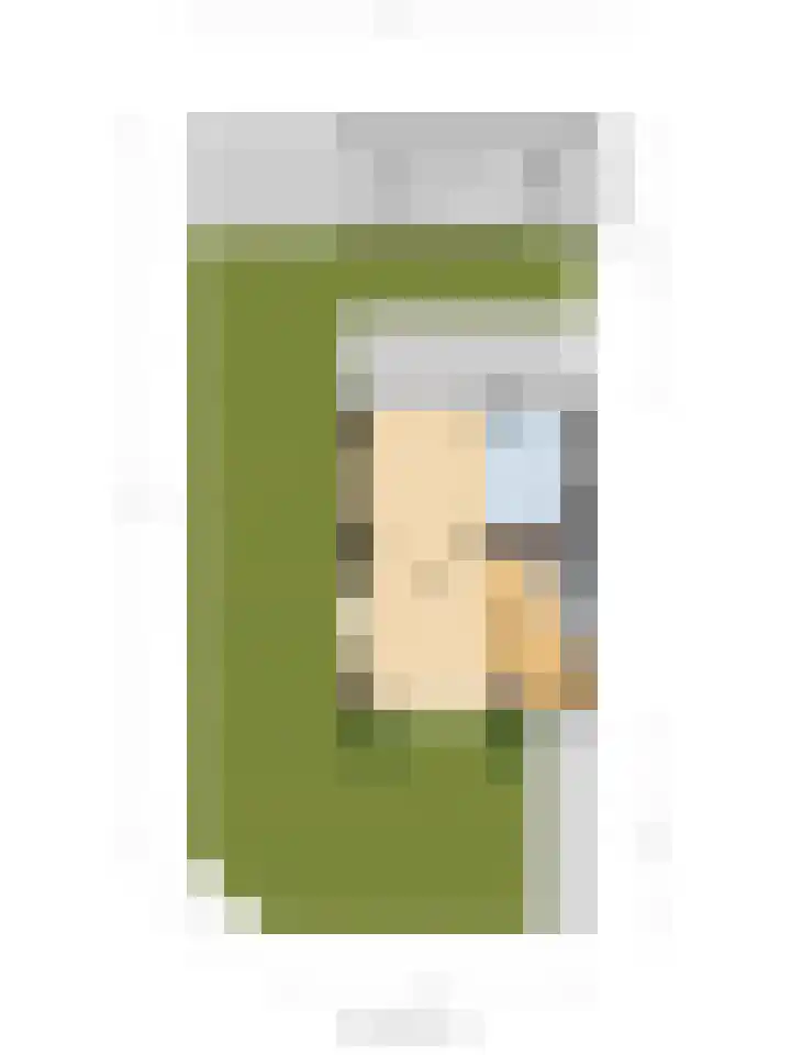 Molenlaan 40 Honselersdijk thumbnail 45