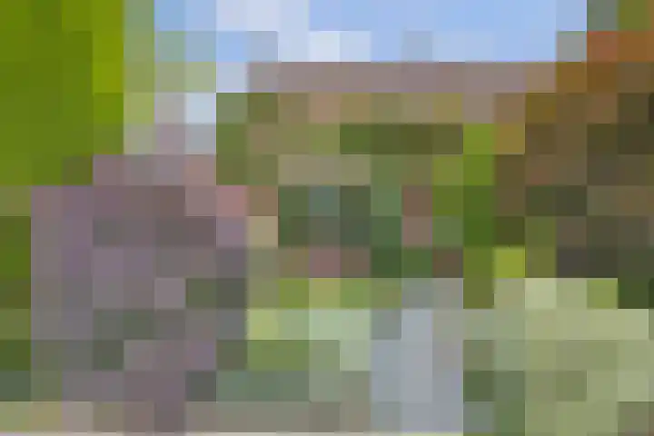 Molenlaan 40 Honselersdijk thumbnail 47