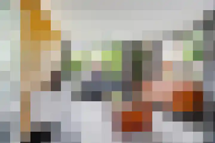Molenlaan 40 Honselersdijk thumbnail 6