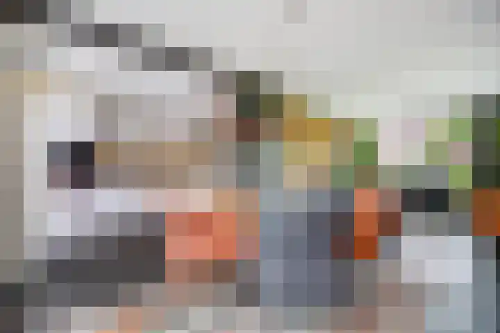 Molenlaan 40 Honselersdijk thumbnail 9