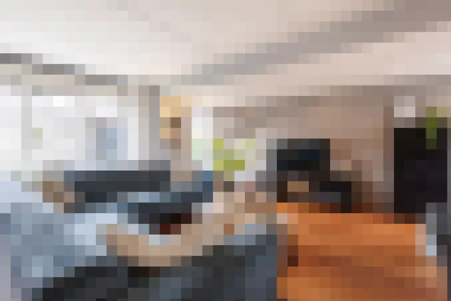 Molenlaan 42 Groot-Ammers thumbnail 10