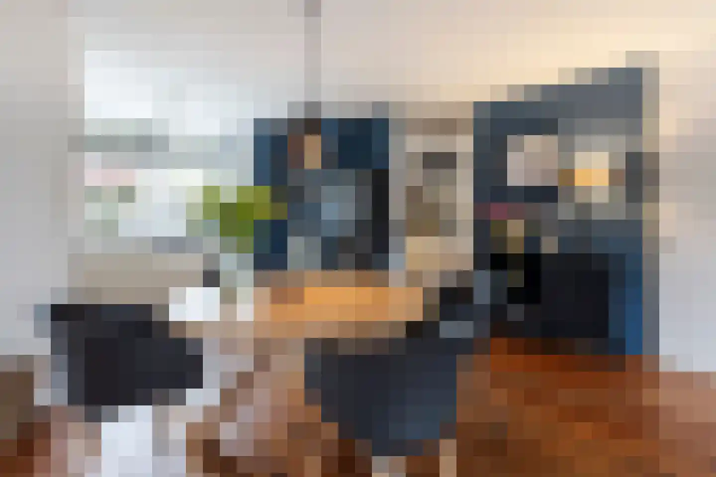 Molenlaan 42 Groot-Ammers thumbnail 14