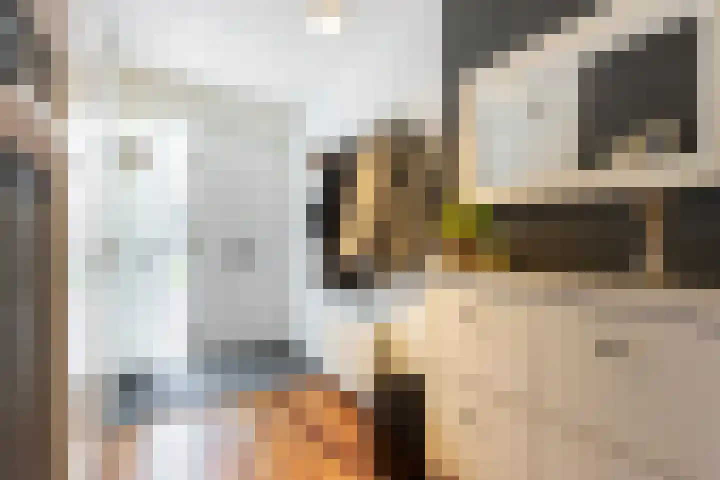 Molenlaan 42 Groot-Ammers thumbnail 16