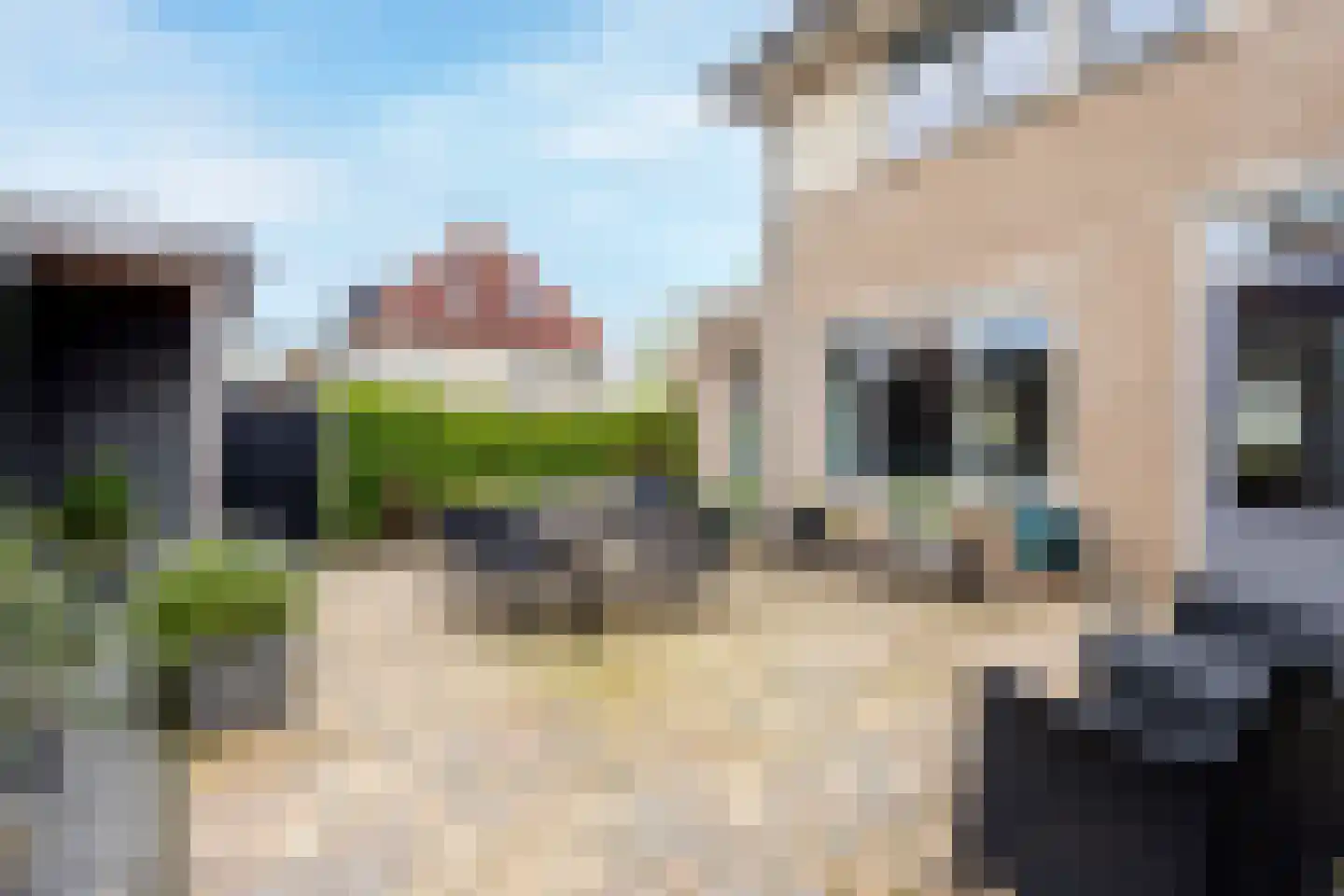 Molenlaan 42 Groot-Ammers thumbnail 30