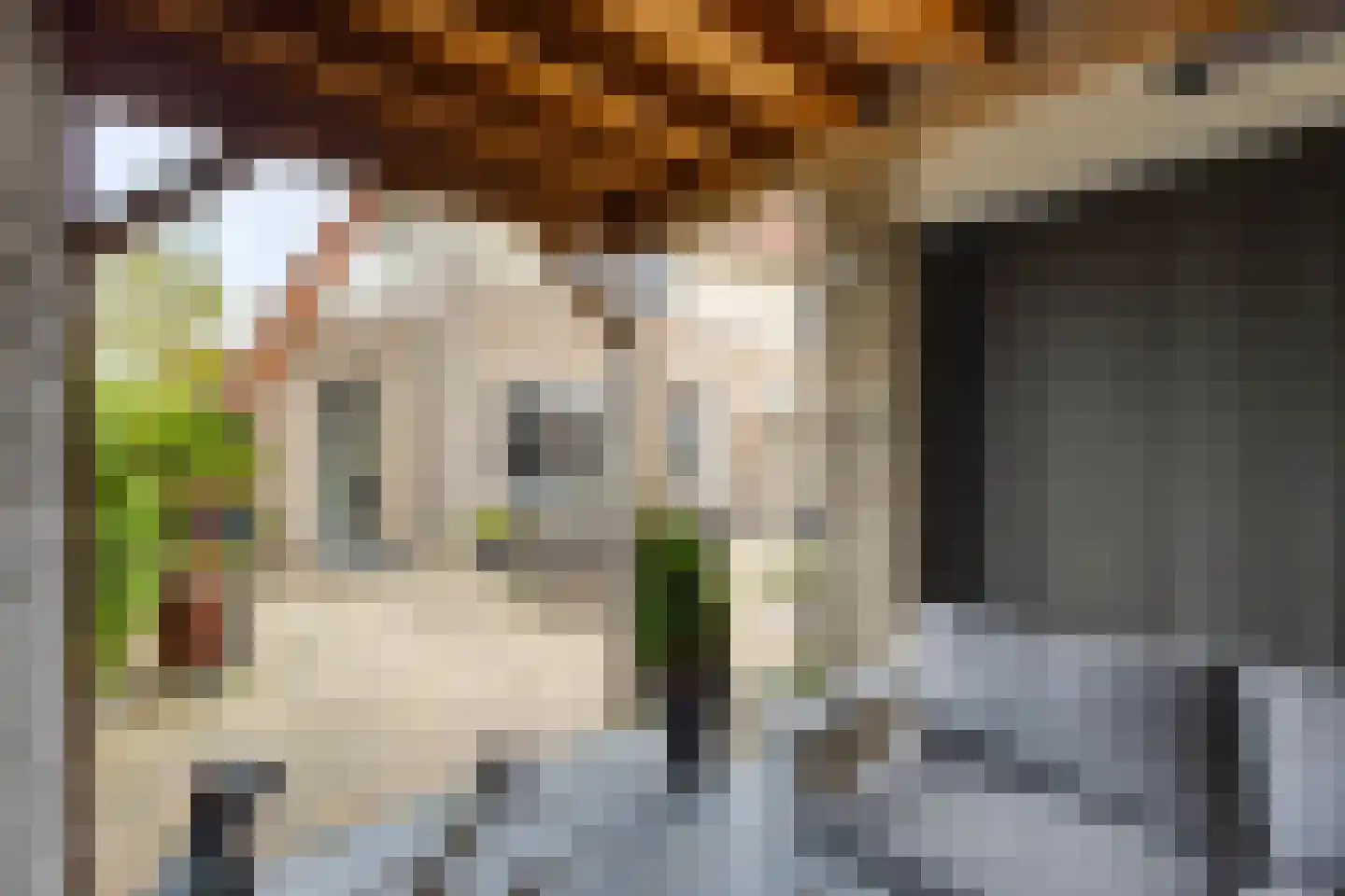 Molenlaan 42 Groot-Ammers thumbnail 32