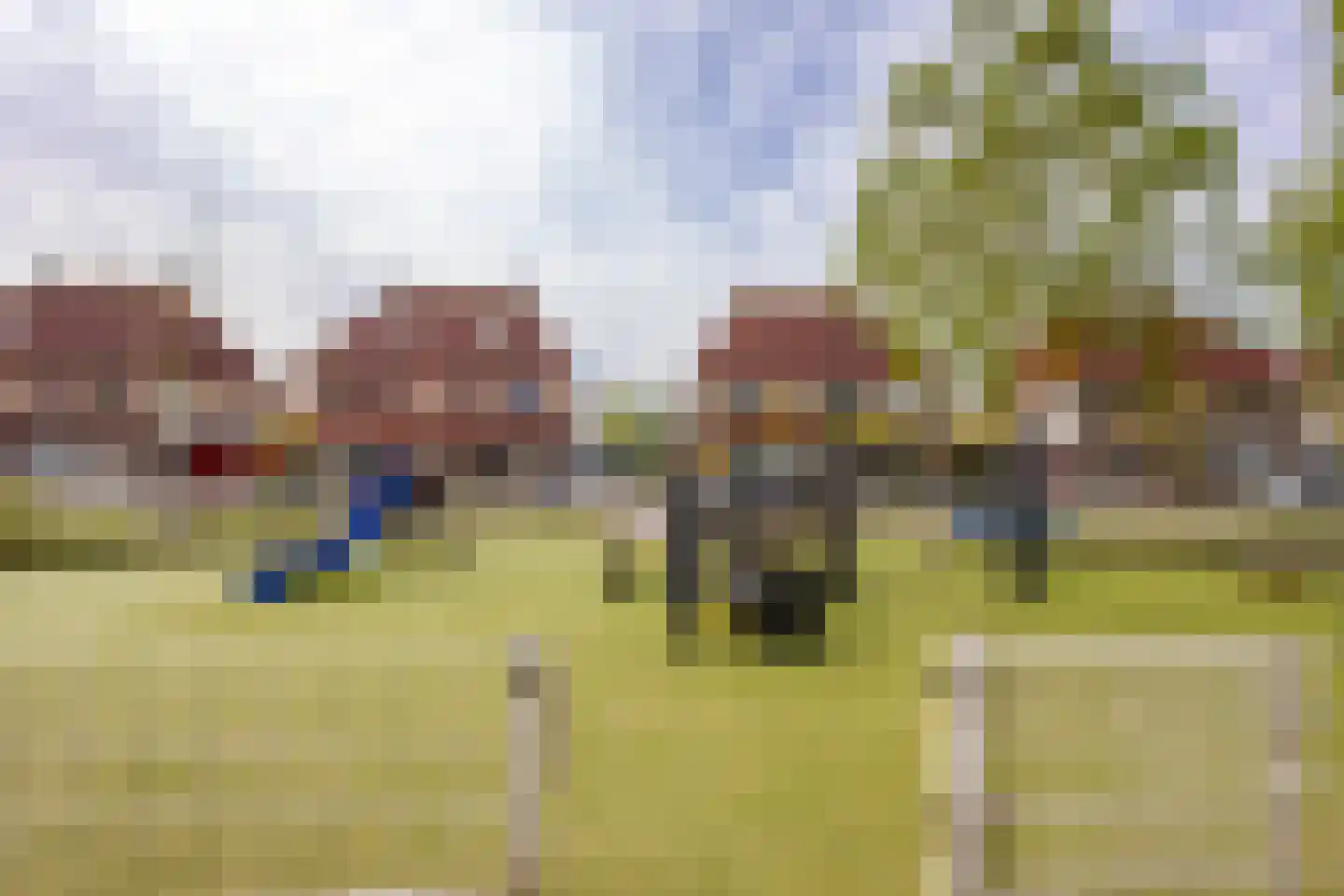 Molenlaan 42 Groot-Ammers thumbnail 42