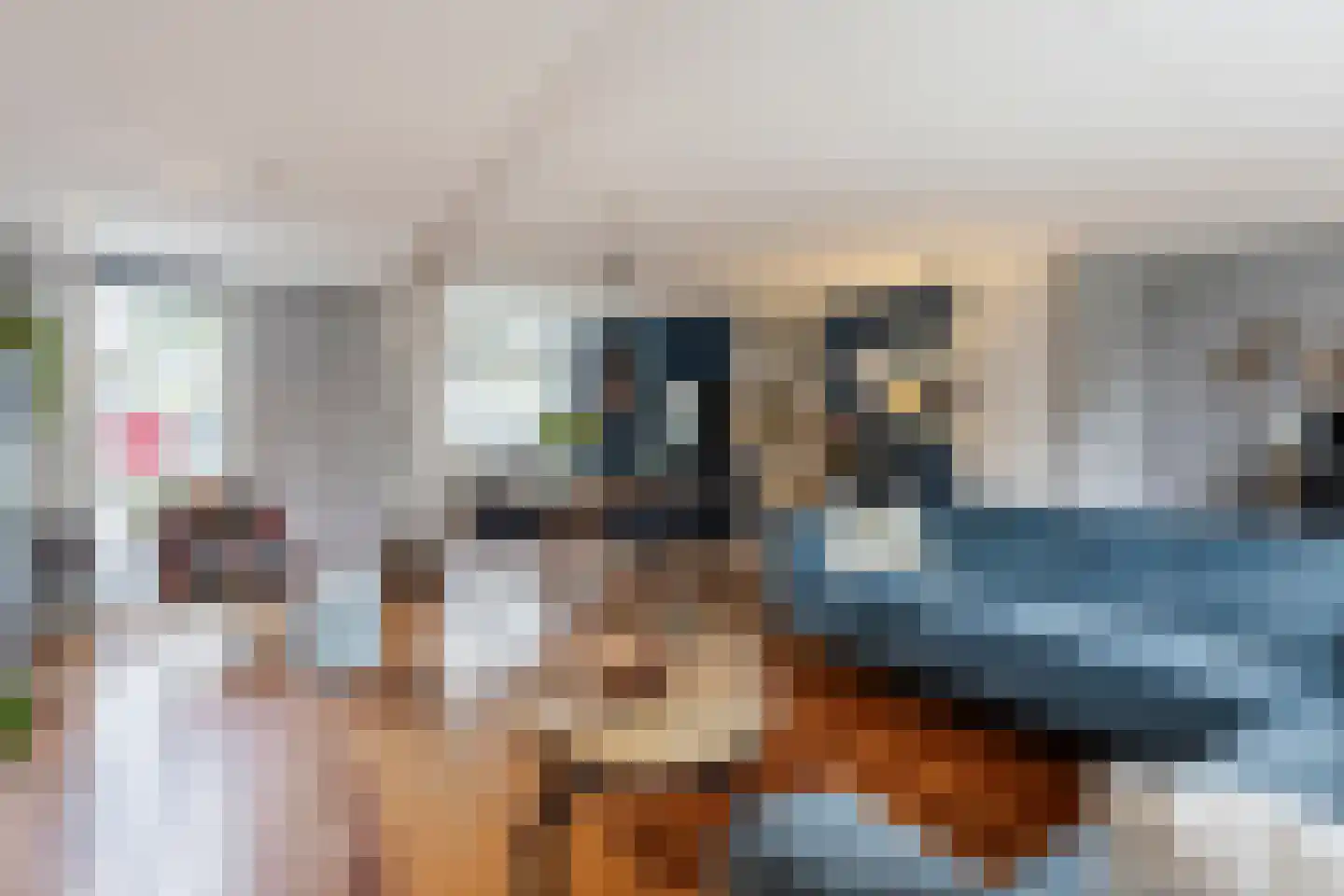 Molenlaan 42 Groot-Ammers thumbnail 8