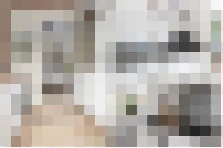 Molenlaan 5 Maasdam thumbnail 10