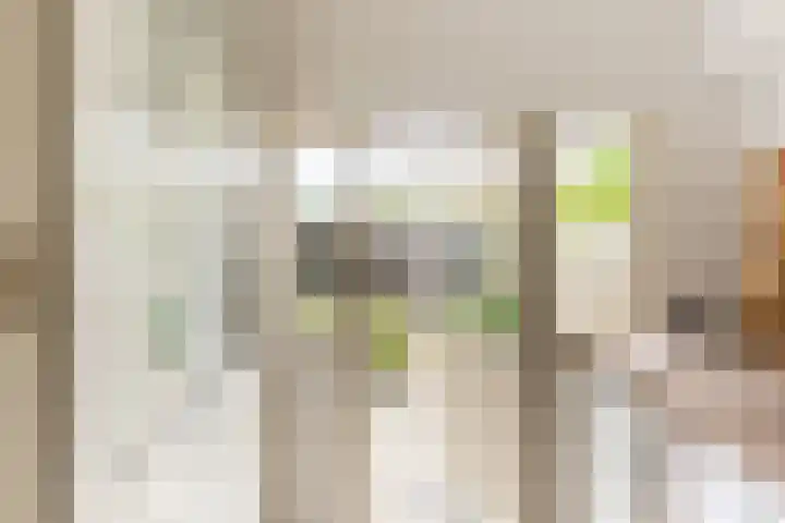 Molenlaan 5 Maasdam thumbnail 11
