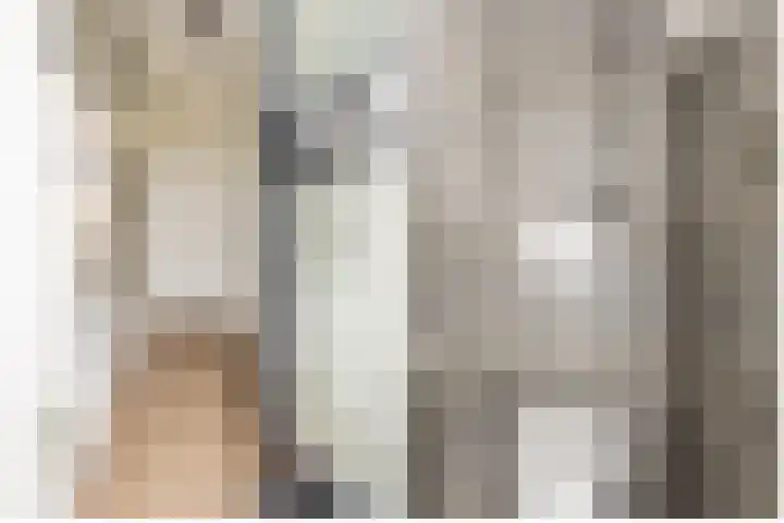 Molenlaan 5 Maasdam thumbnail 12