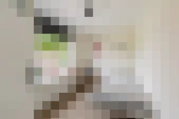 Molenlaan 5 Maasdam thumbnail 13