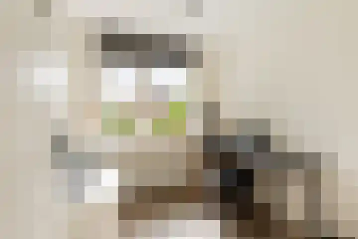 Molenlaan 5 Maasdam thumbnail 14