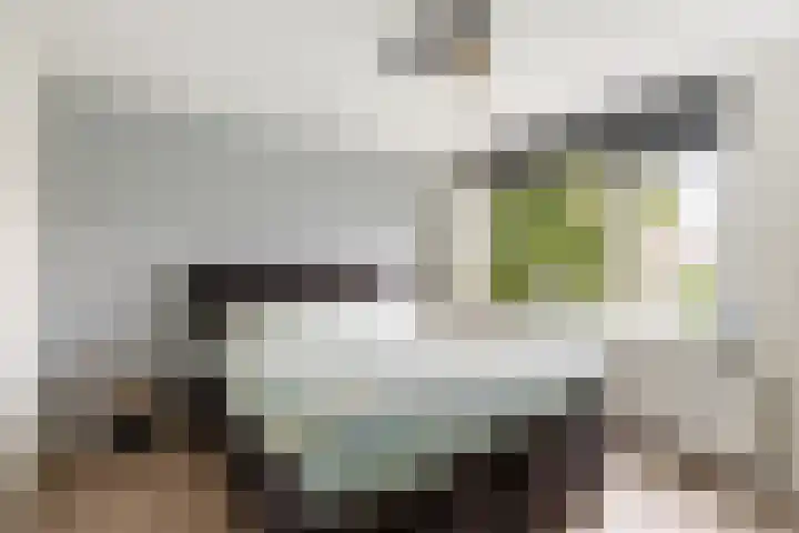 Molenlaan 5 Maasdam thumbnail 15