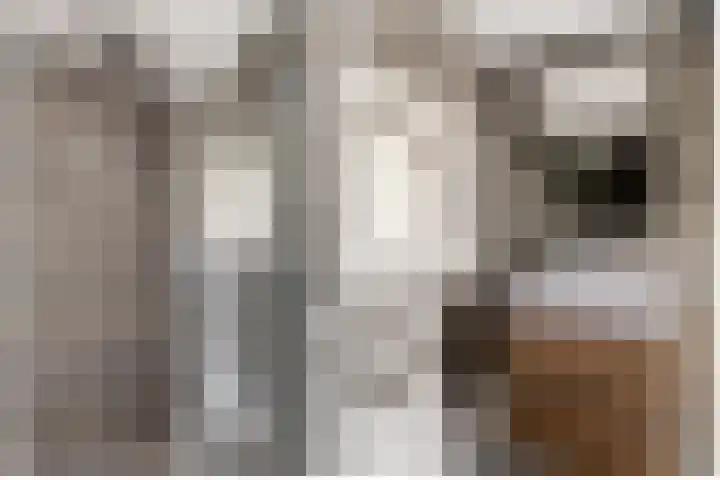 Molenlaan 5 Maasdam thumbnail 17