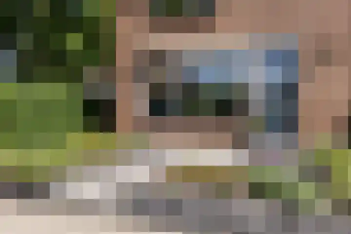 Molenlaan 5 Maasdam thumbnail 19