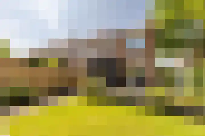 Molenlaan 5 Maasdam foto 2