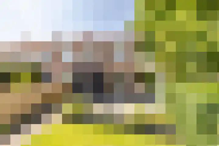 Molenlaan 5 Maasdam thumbnail 20