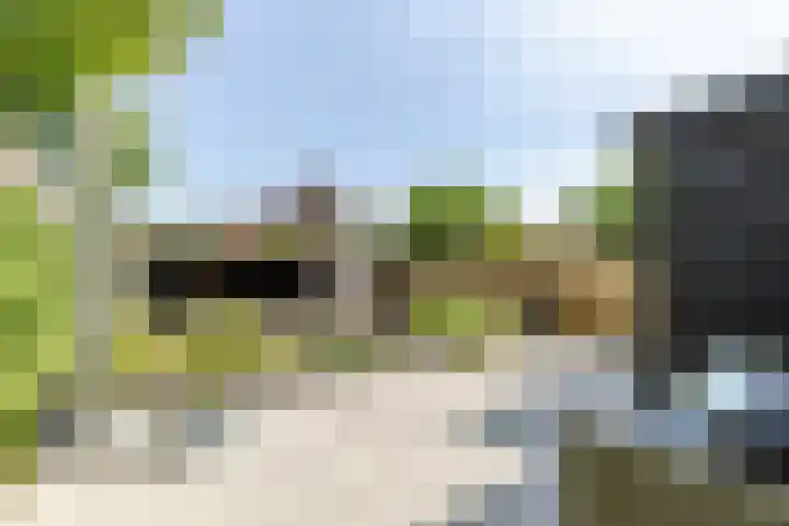 Molenlaan 5 Maasdam thumbnail 21