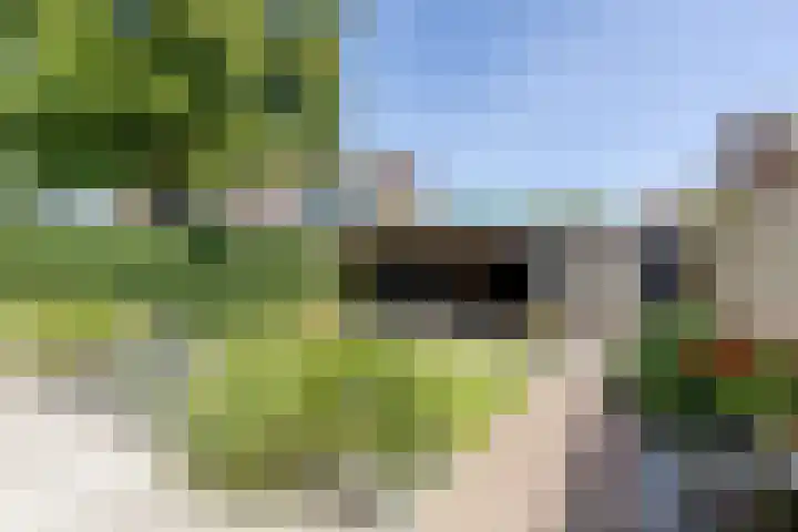 Molenlaan 5 Maasdam thumbnail 22