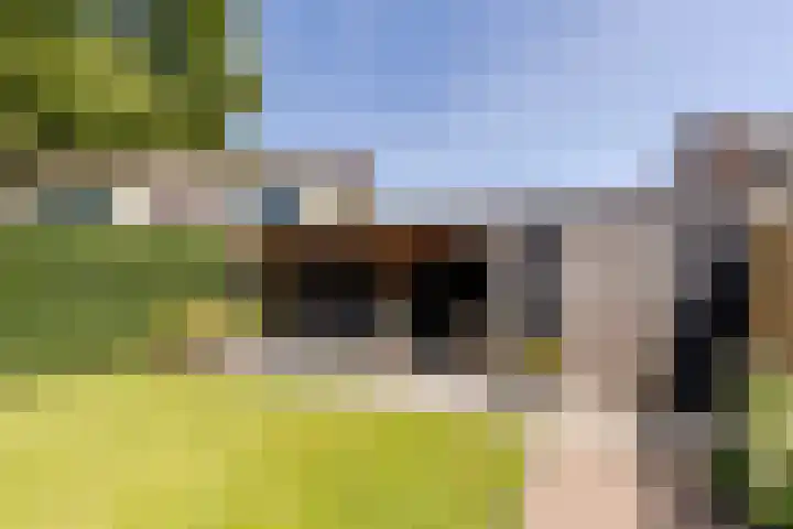 Molenlaan 5 Maasdam thumbnail 23