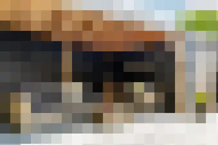 Molenlaan 5 Maasdam thumbnail 24