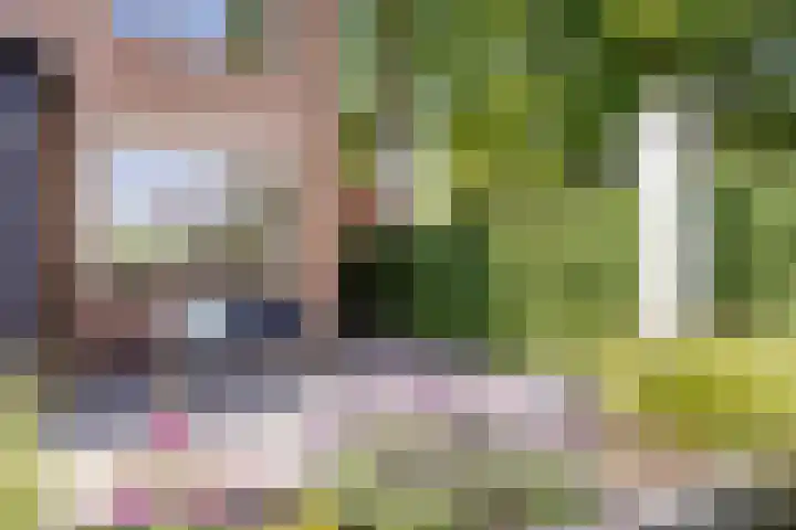 Molenlaan 5 Maasdam thumbnail 25