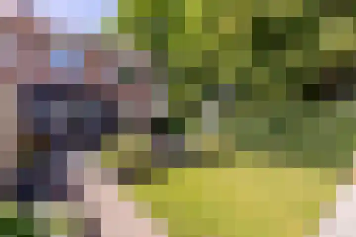 Molenlaan 5 Maasdam thumbnail 26