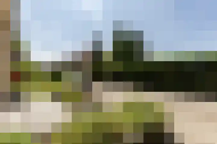 Molenlaan 5 Maasdam thumbnail 27