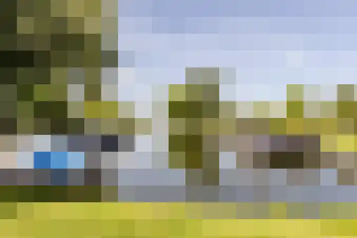 Molenlaan 5 Maasdam thumbnail 28