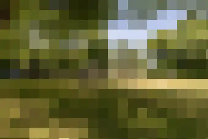 Molenlaan 5 Maasdam thumbnail 29