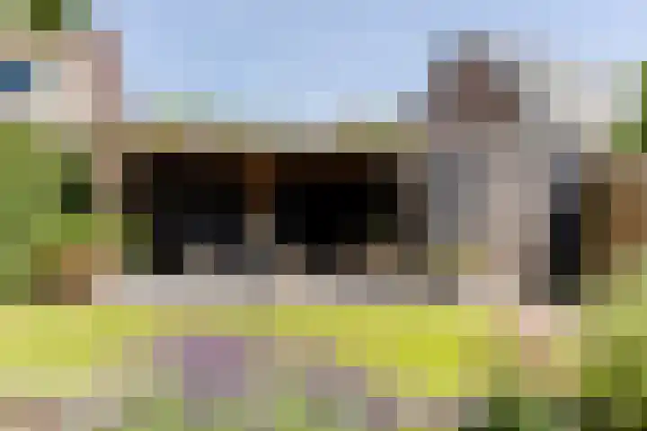 Molenlaan 5 Maasdam foto 3