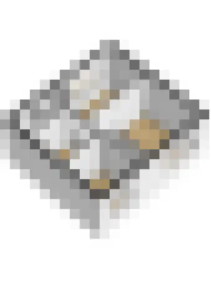 Molenlaan 5 Maasdam thumbnail 35