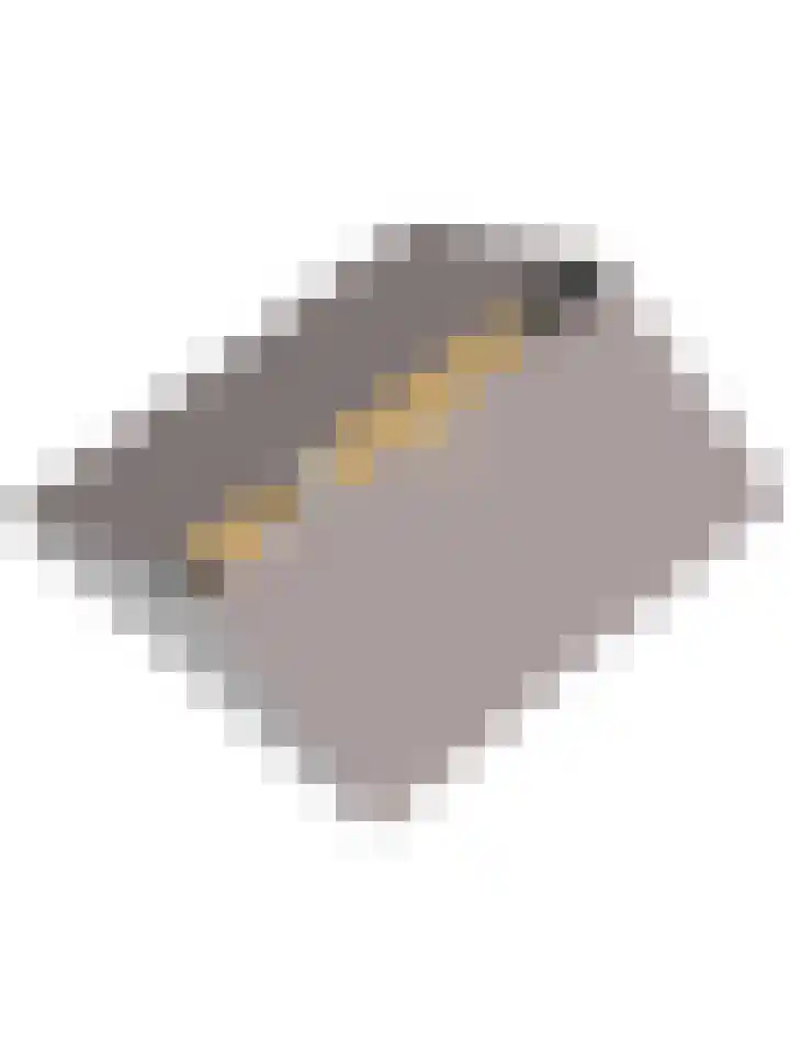 Molenlaan 5 Maasdam thumbnail 36