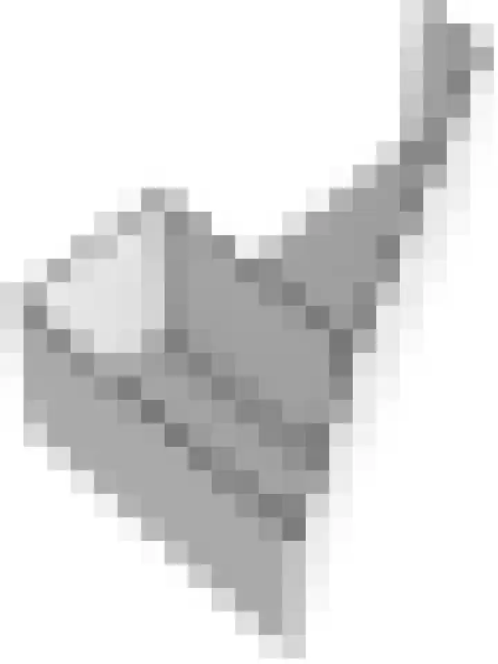 Molenlaan 5 Maasdam thumbnail 37