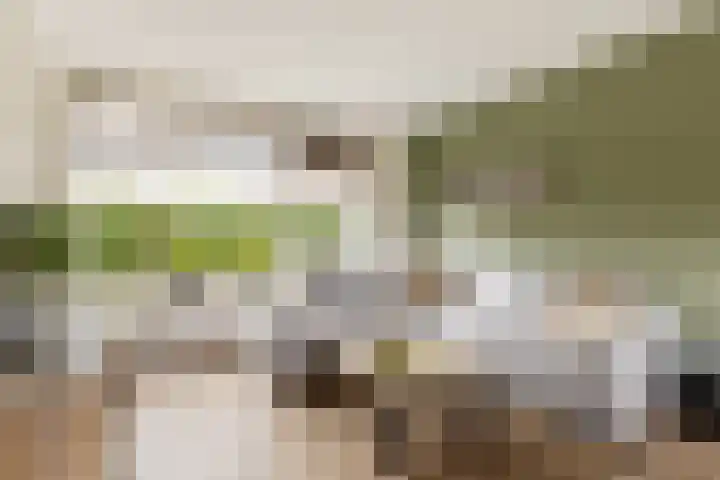 Molenlaan 5 Maasdam thumbnail 4
